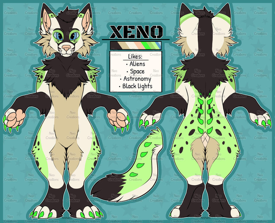 2024 - Detailed Front + Back